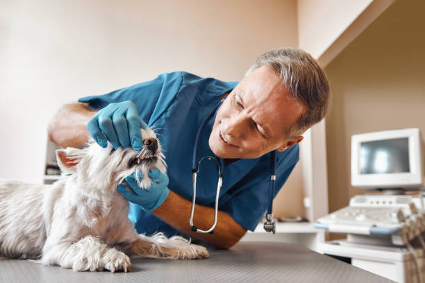 Best 24-Hour Emergency Dentist in Slaughterville, OK