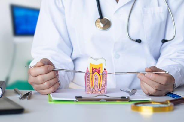 Best Emergency Dentist for Lost Fillings or Crowns in Slaughterville, OK